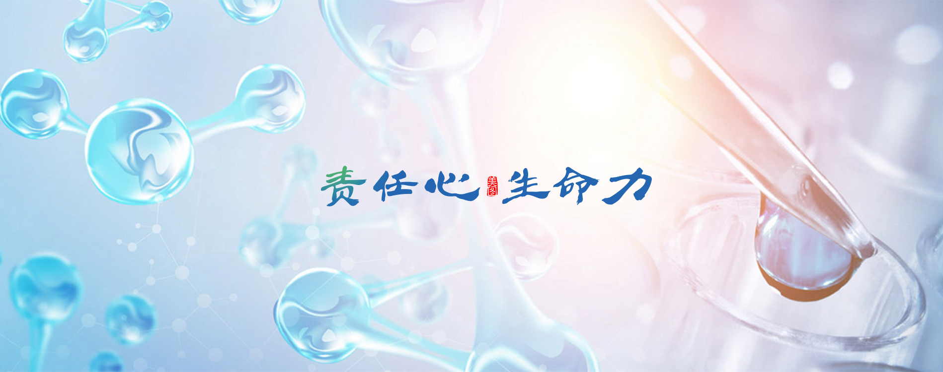 河北美图制药有限责任公司